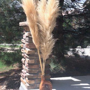 4 Extra Long and Fluffy Gold Pampas Grass. All Natural and About 48" tall.